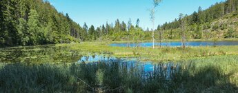 Aussicht Huzenbacher See