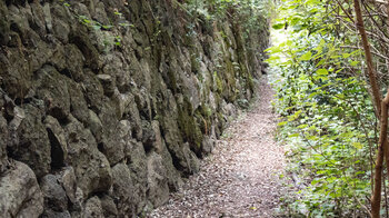 Wanderweg entlang einer Steinmauer bei La Meseta