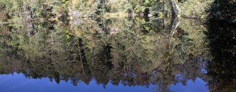 Spiegelung am Weier im Moosbachtal