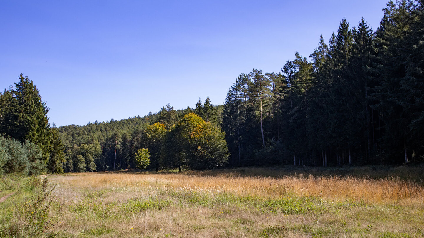 Wiesenflächen im Seiberbachtal