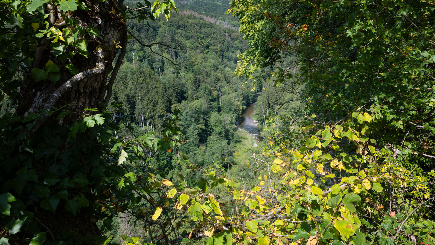 Blick von den Wutachflühen in die Wutachschlucht