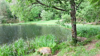 Sankenbachsee ist ein Karsee bei Baiersbronn