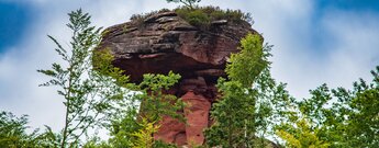 der Teufelstisch erhebt sich über den Baumwipfeln