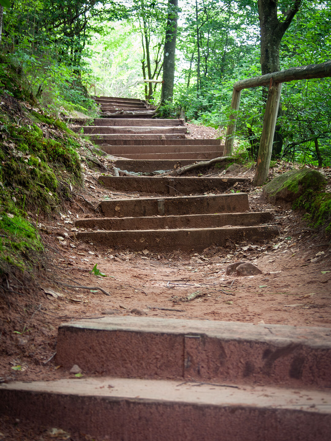 Steintreppen am Wanderweg zum Teufelstisch