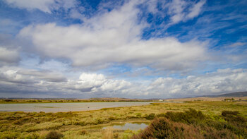 Marismas de Barbate – einzigartiges Feuchtgebiet in Andalusien