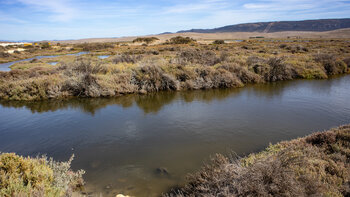 Gezeitenlagunen Marismas de Barbate