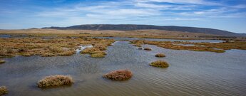 Marschlandschaften Marismas del Barbate