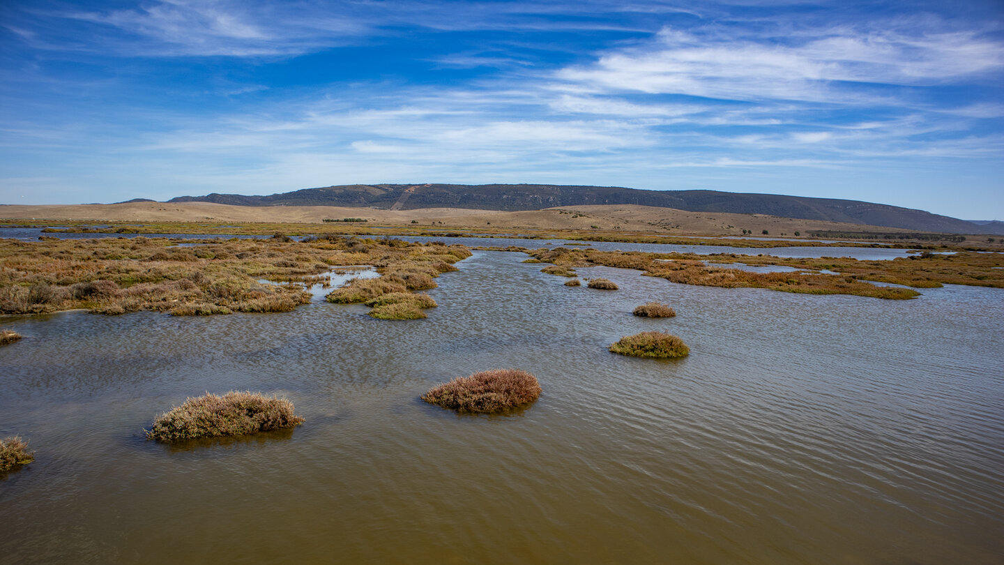 Marschlandschaften Marismas del Barbate