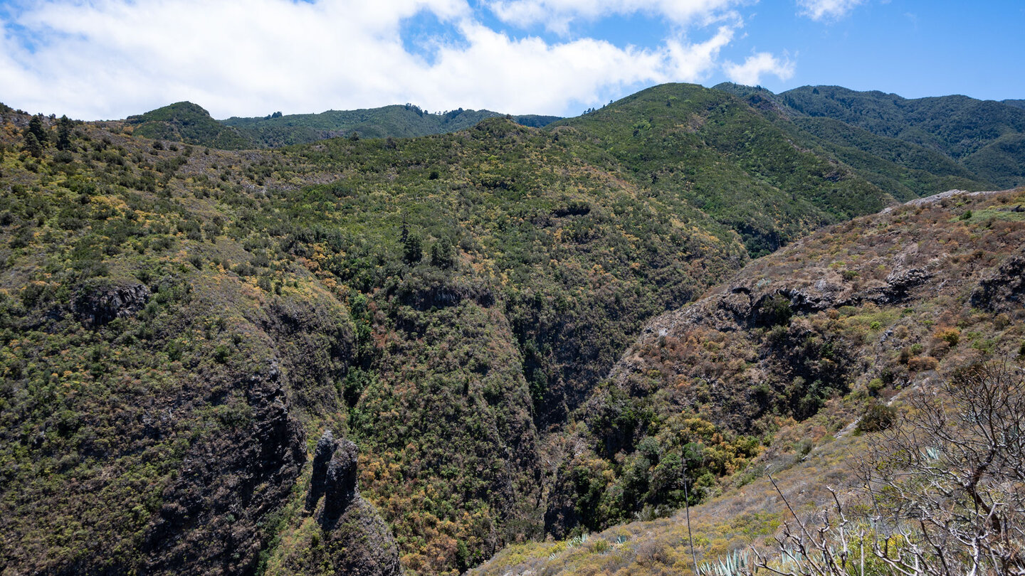 Blick vom Wanderweg in die steil abfallende Schlucht Barranco de Los Cochinos