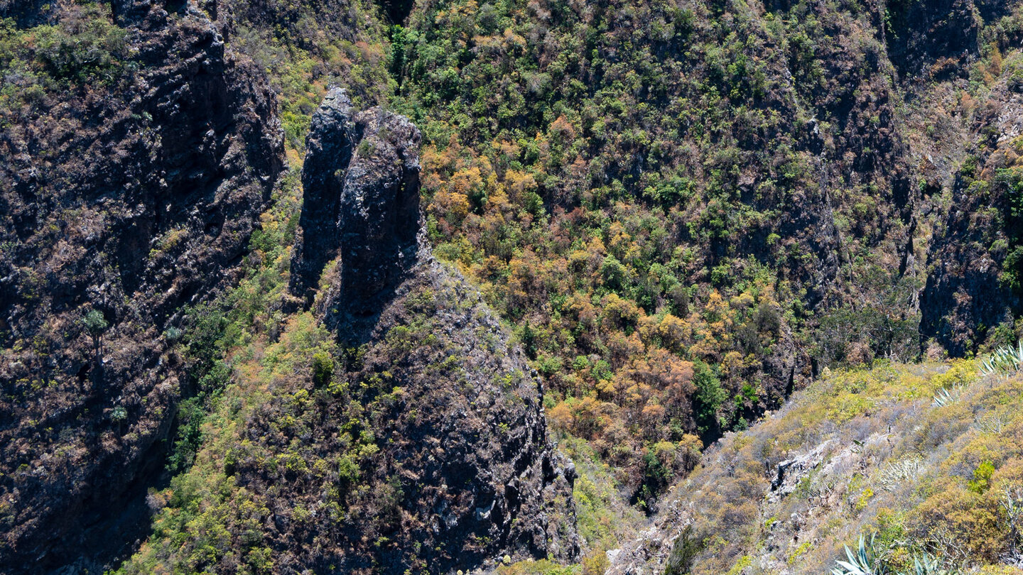 zerklüftete Felsspitzen über der engen Cochinos-Schlucht