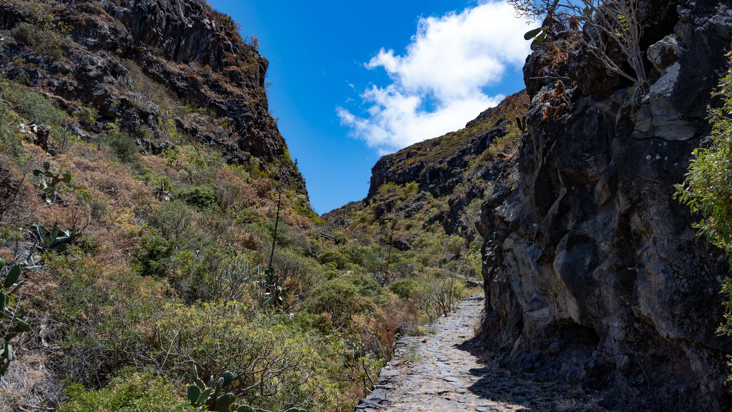 Wanderung entlang des PR TF-54 entlang Felsformationen durch die Schlucht Barranco de las Moradas