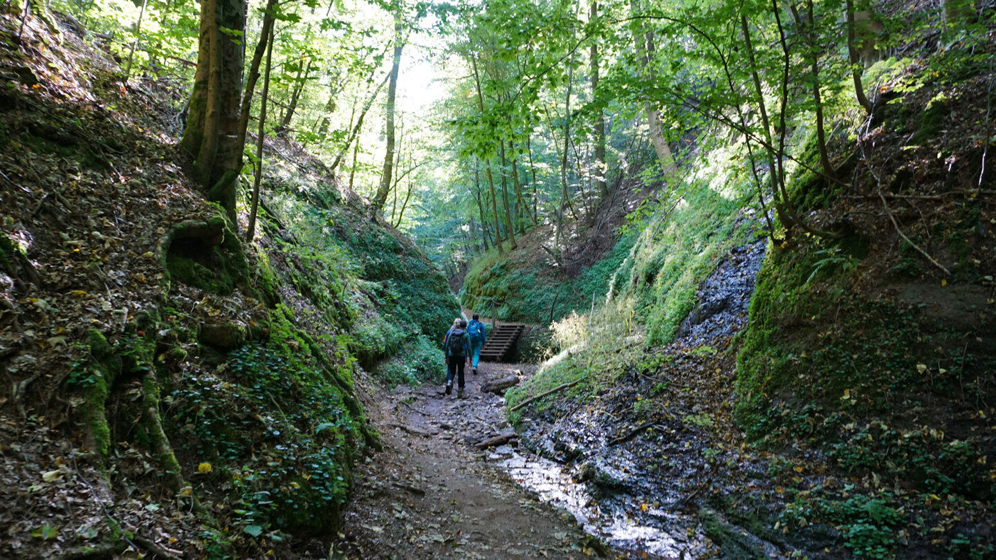 der Anstieg in der Landgrafenschlucht Anstieg in der Landgrafenschlucht