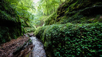 Pfad entlang des Wassers in der Landgrafenschlucht
