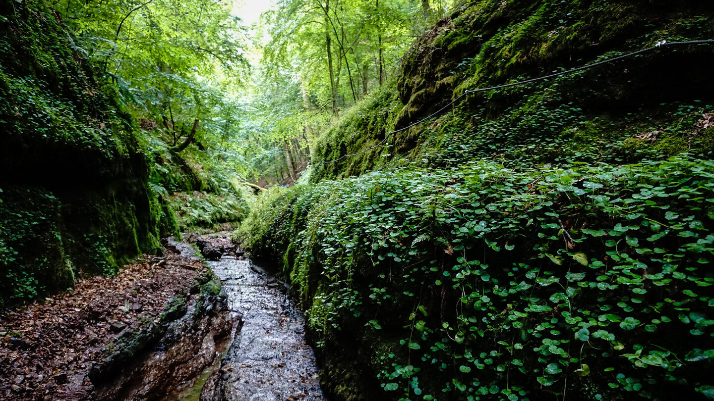 herrlicher Pfad entlang des Wassers in der Landgrafenschlucht Pfad entlang des Wassers in der Landgrafenschlucht
