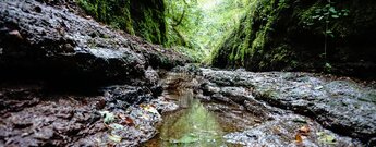 Blick durch die Landgrafenschlucht