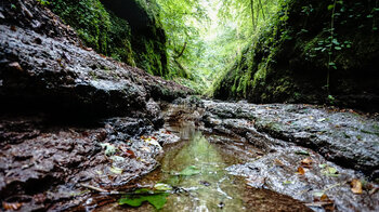 Blick durch die Landgrafenschlucht