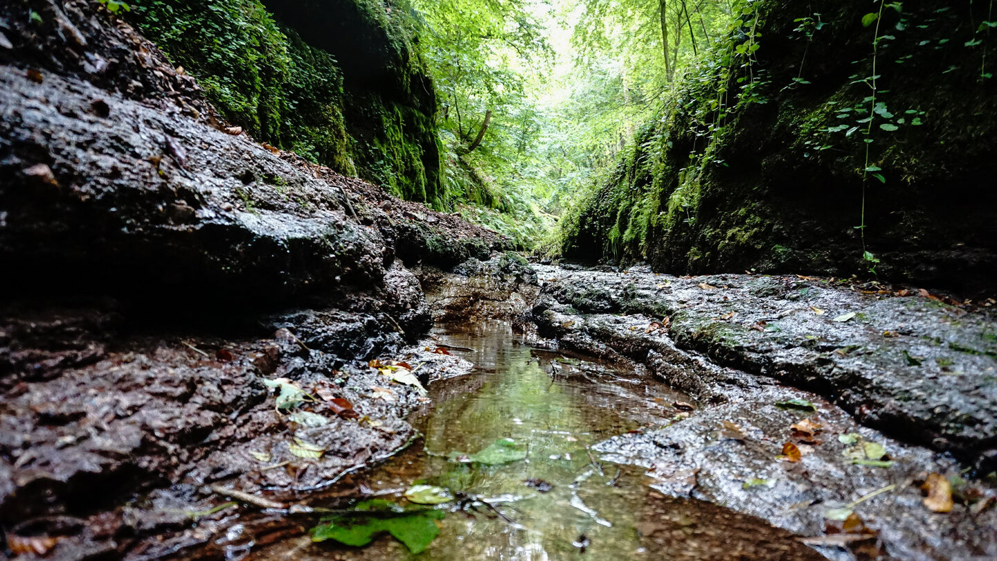 traumhafter Blick durch die Landgrafenschlucht Blick durch die Landgrafenschlucht