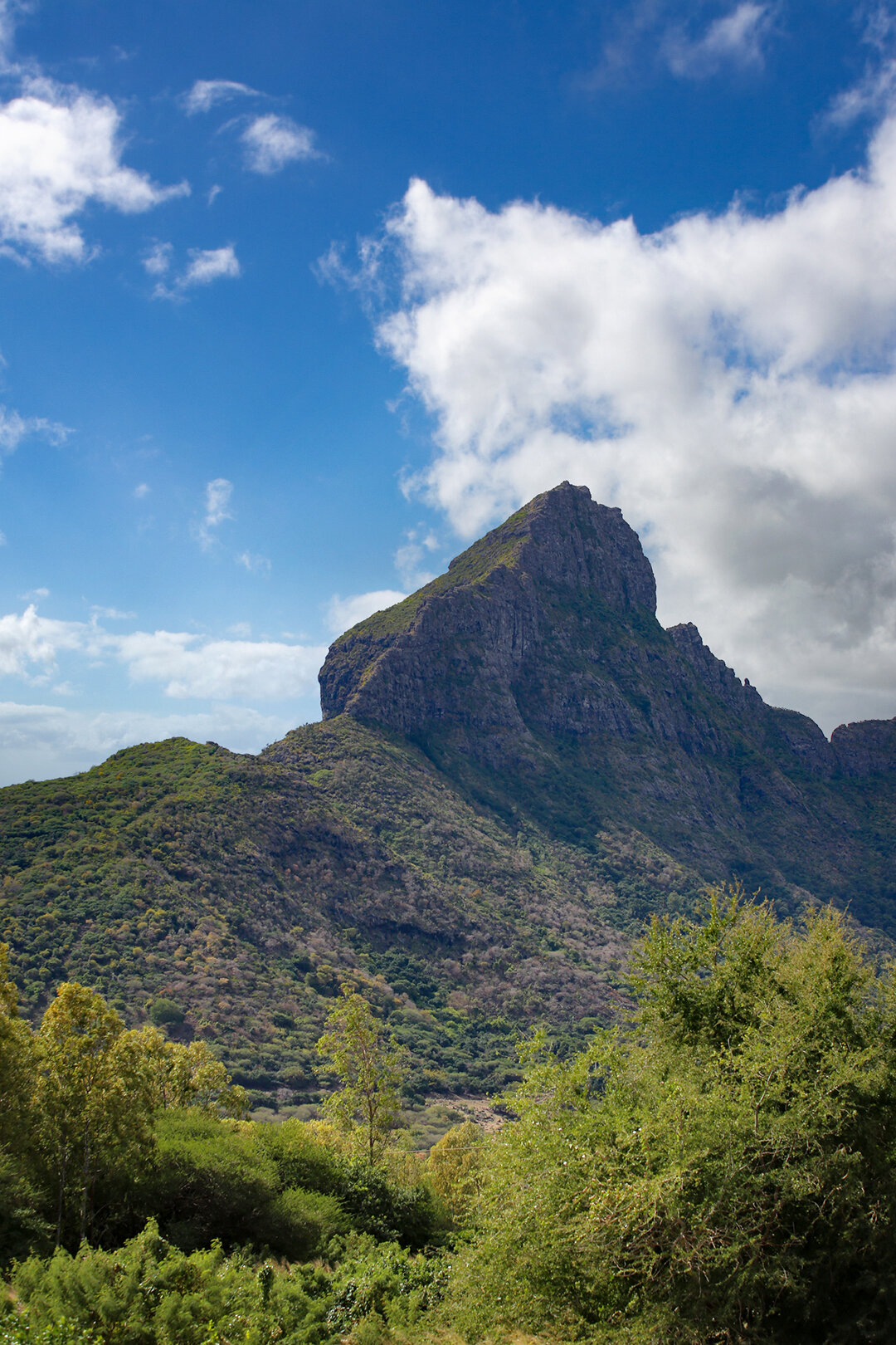 Gipfel des Montagne du Rempart im Black River Distrikt mit seinen imposanten Felsflanken Gipfel des Montagne du Rempart mit seinen imposanten Felsflanken