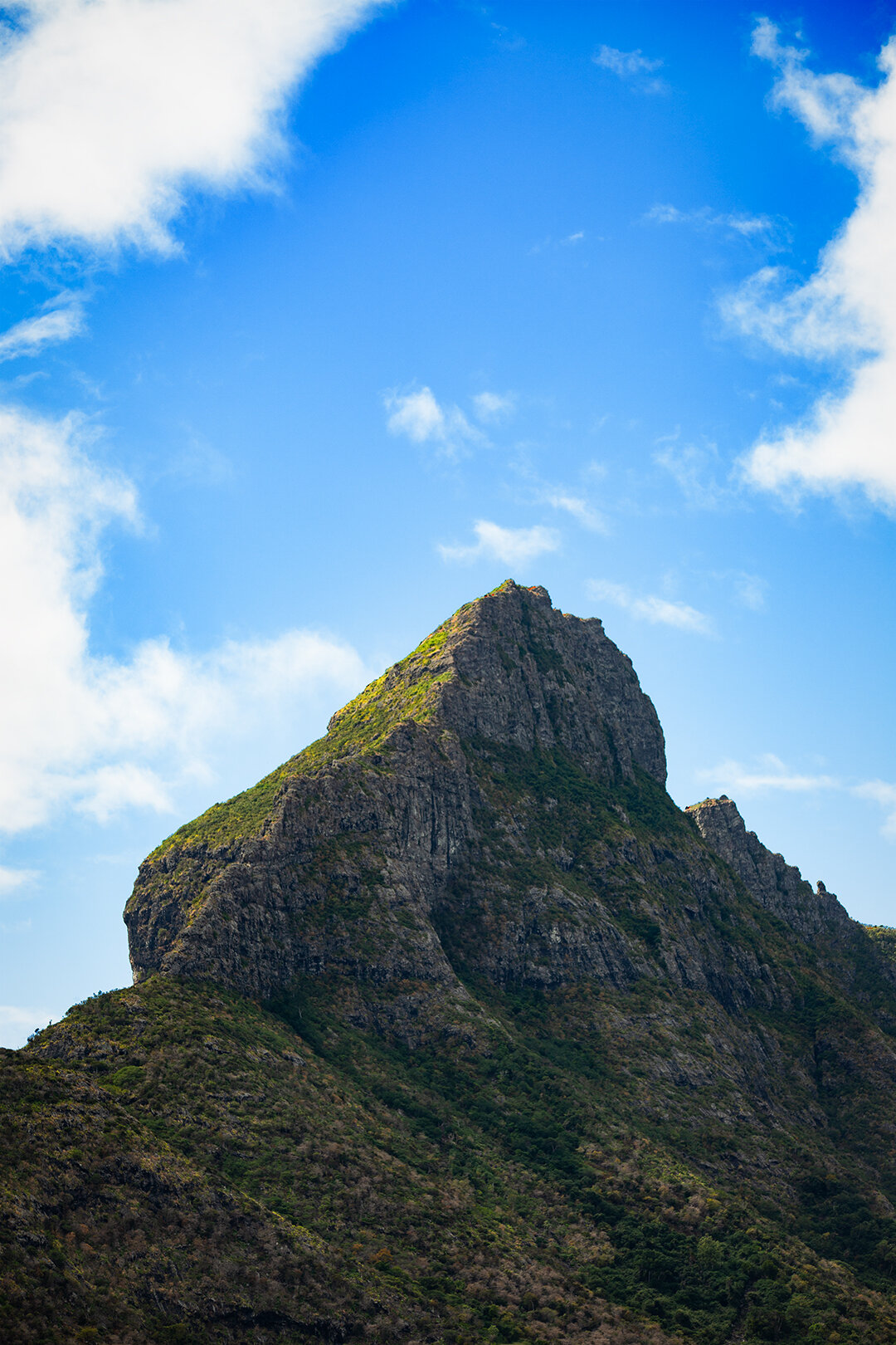 Gipfel des Montagne du Rempart im Black River Distrikt auf Mauritius Gipfel des Montagne du Rempart auf Mauritius