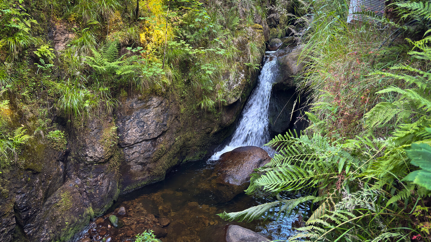 Menzenschwander Wasserfälle im Hochschwarzwald