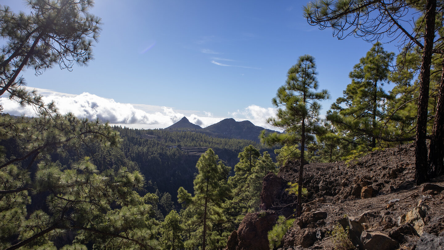Ausblick auf Roque Ifonche und Roque de los Brezos vom Wanderweg Camino de Infoe Ausblick auf Roque Ifonche und Roque de los Brezos vom Wanderweg