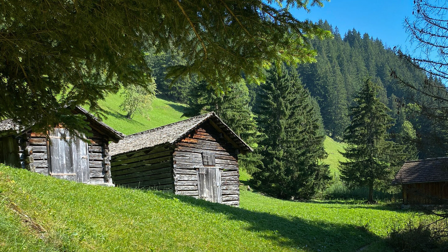 idyllische Almwiesen mit Holzhütten bei Silum Almwiesen mit Holzhütten bei Silum