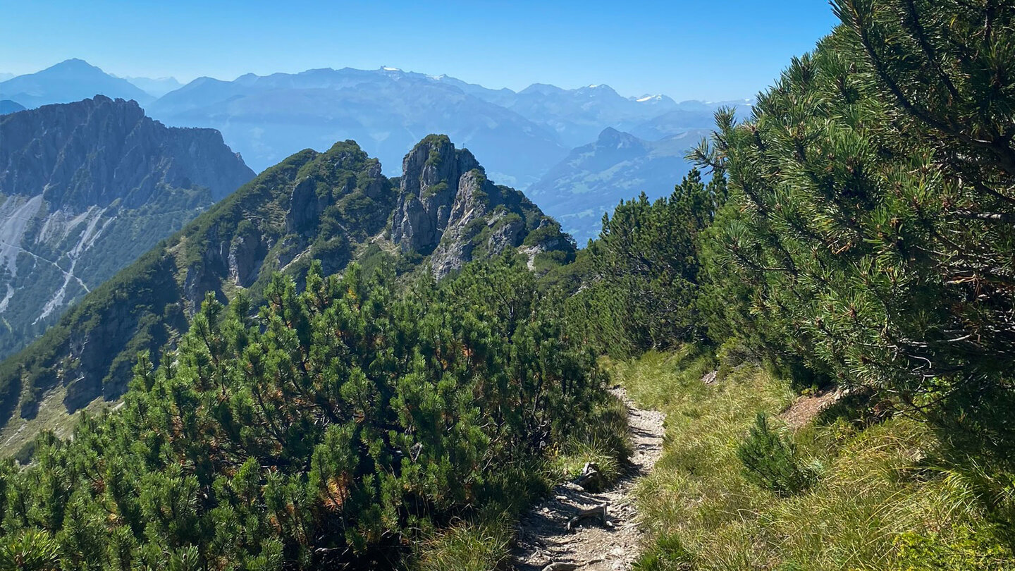 Wanderpfad zwischen Latschenkiefern Wanderpfad zwischen Latschenkiefern