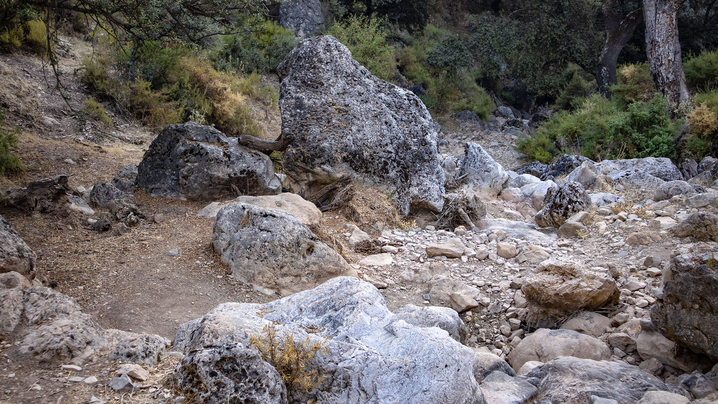 die Route quert den Trockenbachlauf