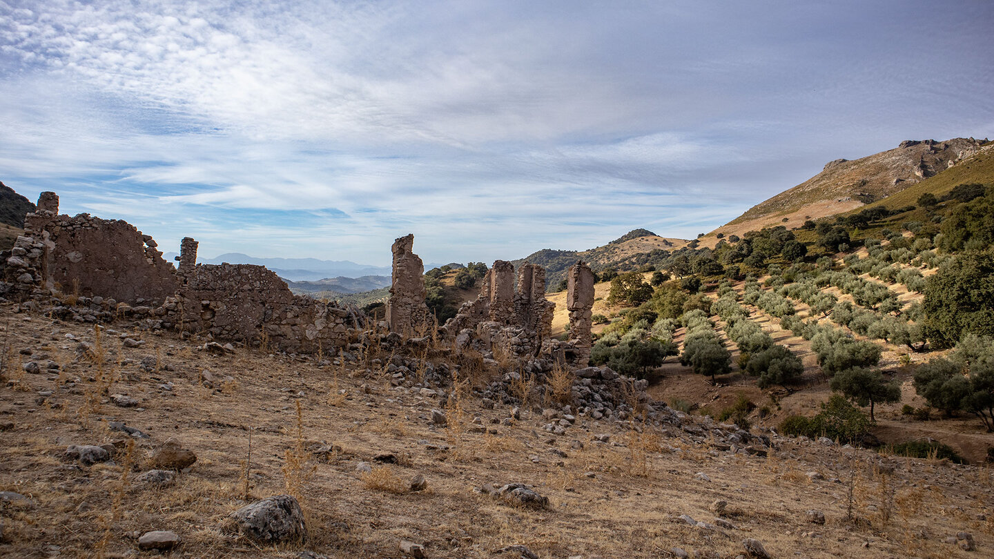 Cortijo de Cañatienda vor Olivenhainen