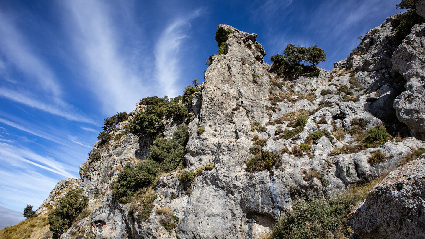Karstfelsen in der Gipfelregion des La Tiñosa