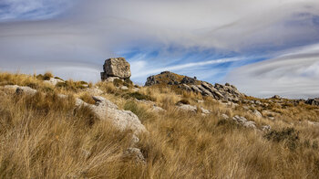 Gräser und Felsen am La Tiñosa