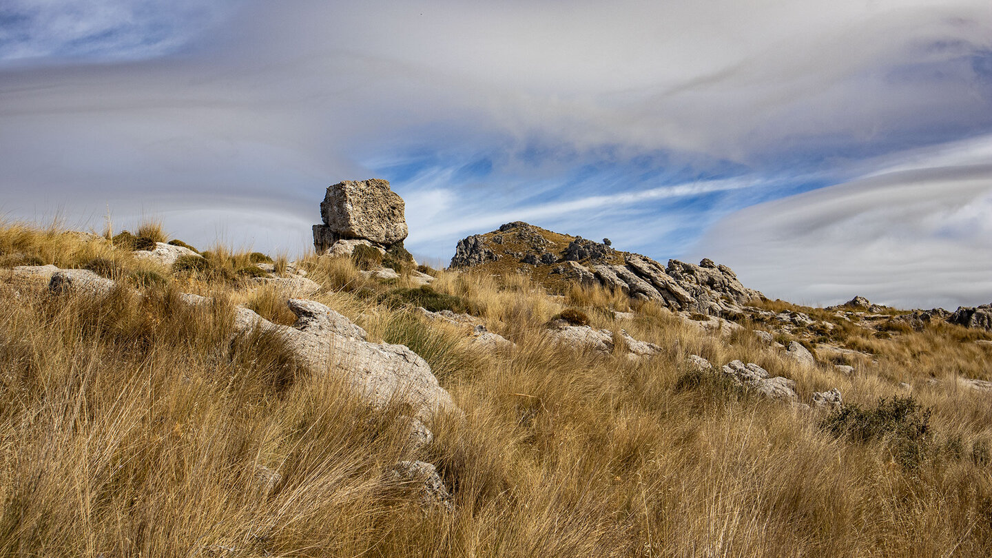Gräser und Felsen am La Tiñosa