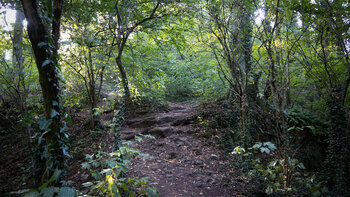 Wanderweg vom Slevogthof zur Ruine Neukastel