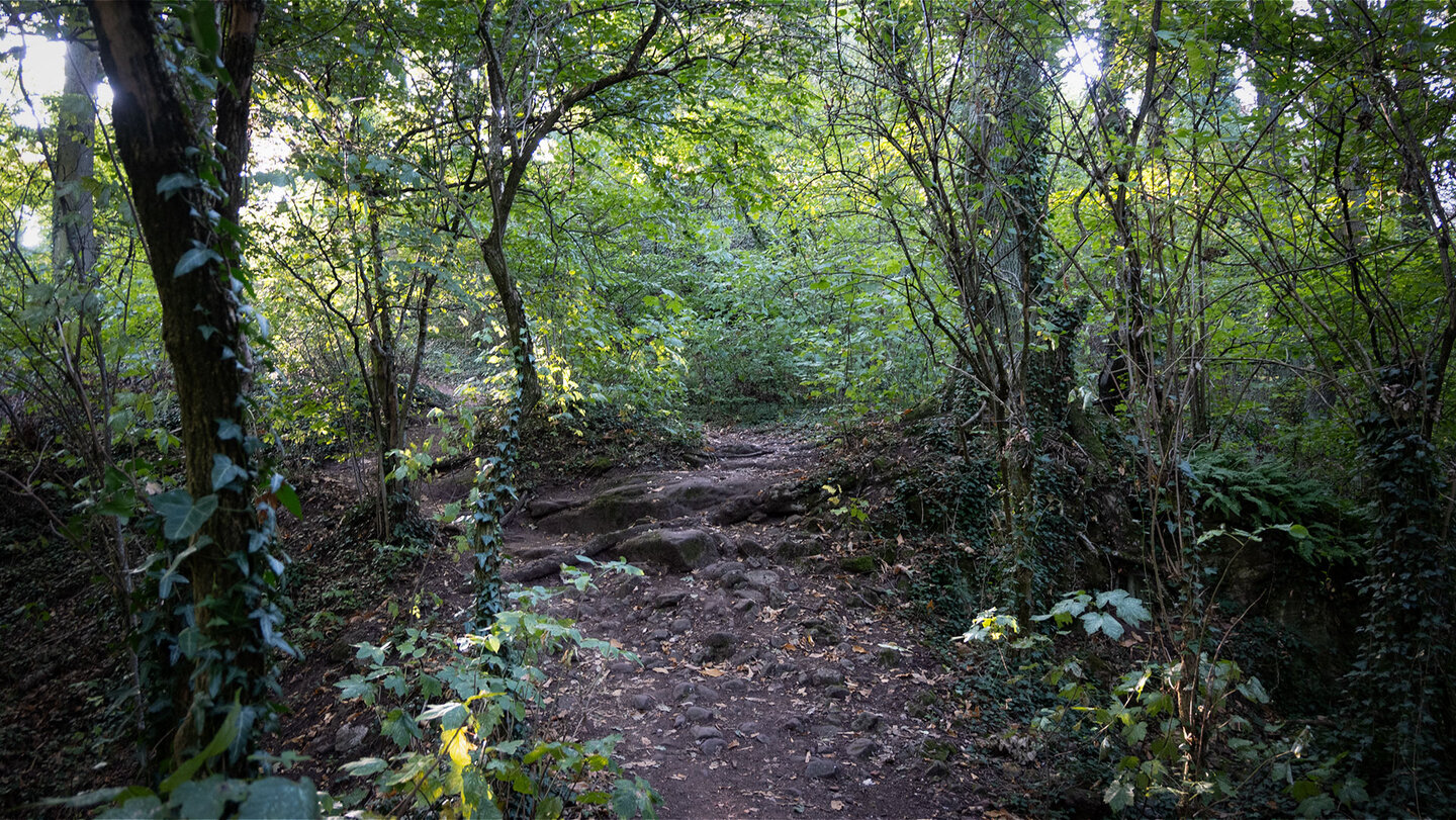 Wanderweg vom Slevogthof zur Ruine Neukastel