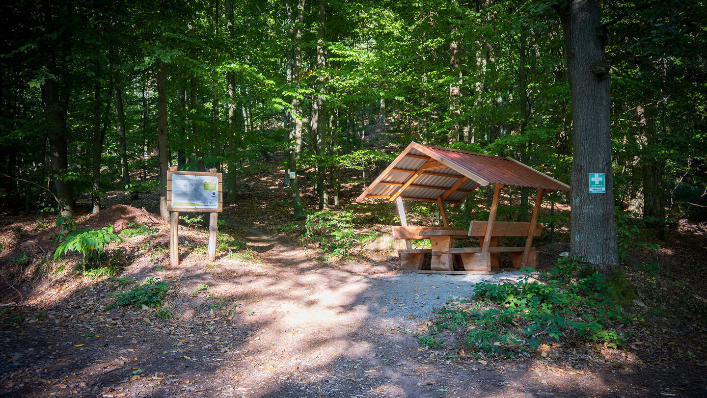 der Hexentanzplatz im Pfälzerwald