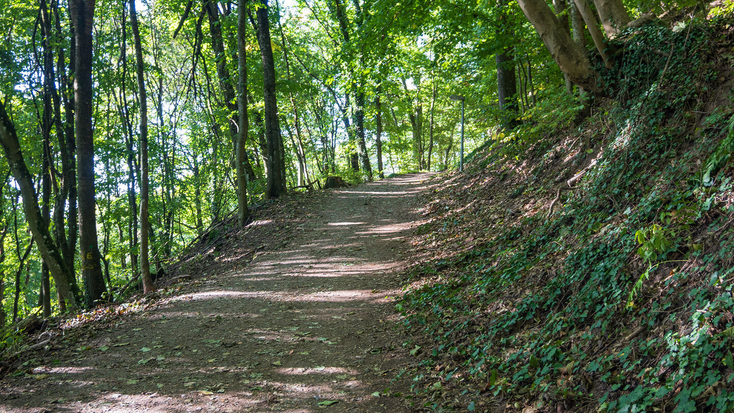 Wanderweg zur Burg Trifels bei Annweiler