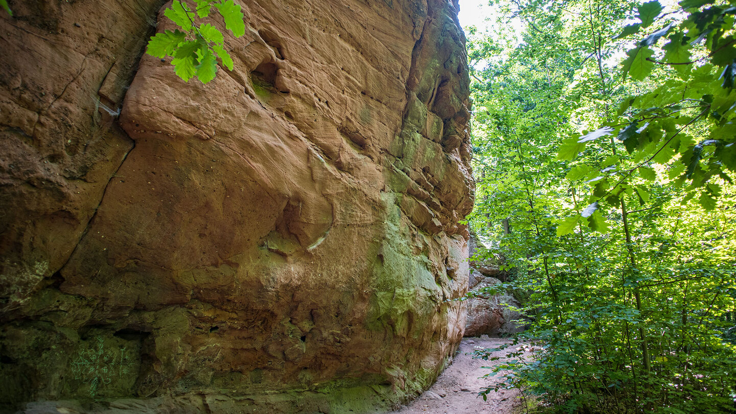 Wanderpfad am Felsterfels