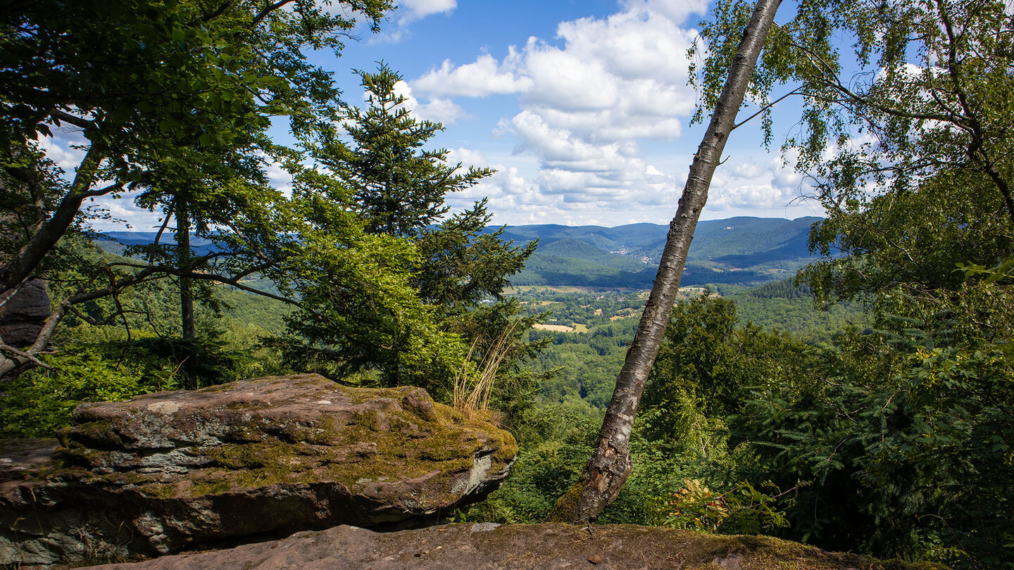 Ausblick ins Queichtal