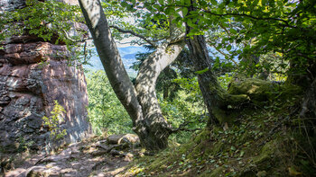 Wanderung am Münzfels bei Annweiler