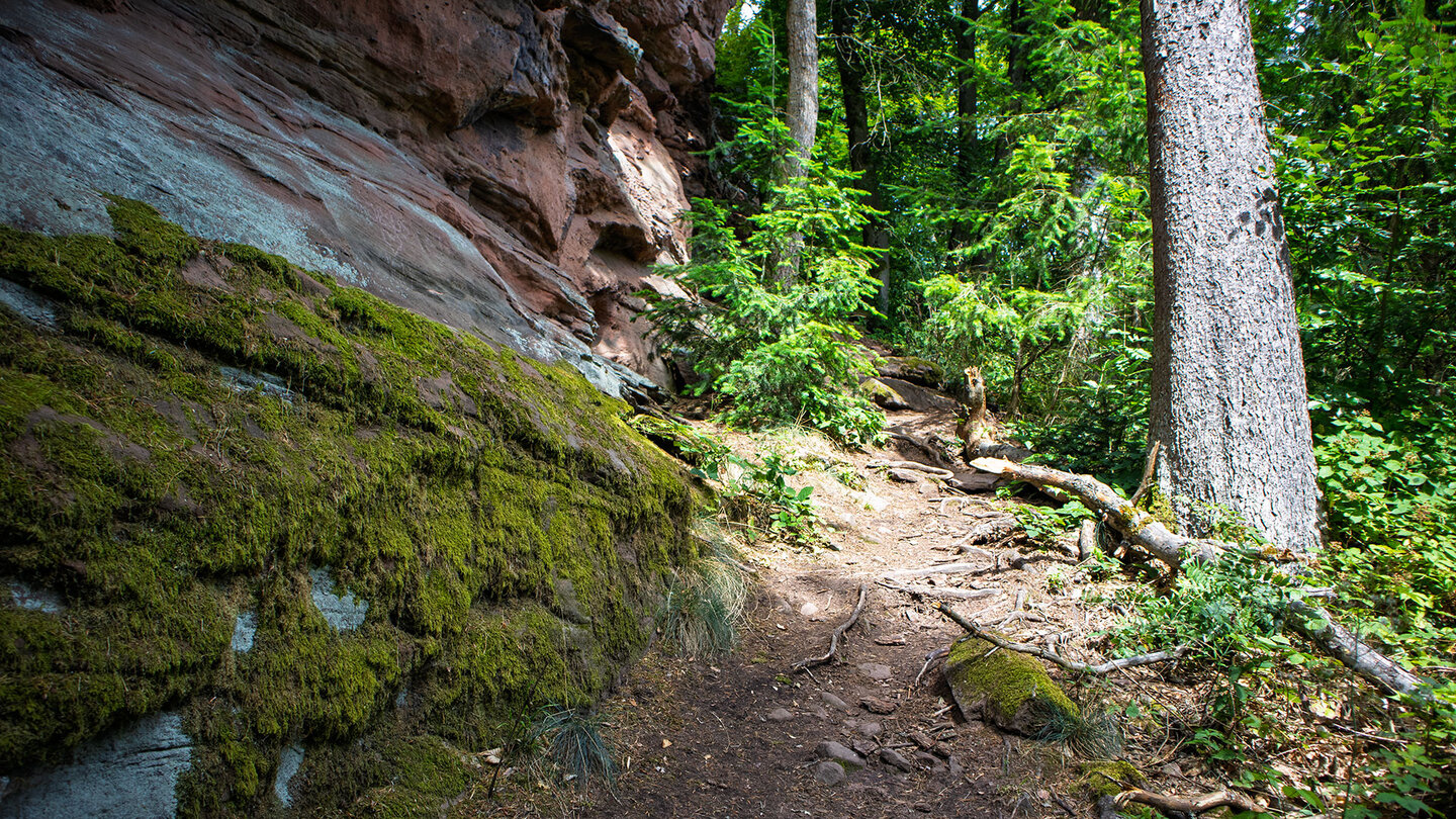 Sandsteinfelsen am Wanderweg