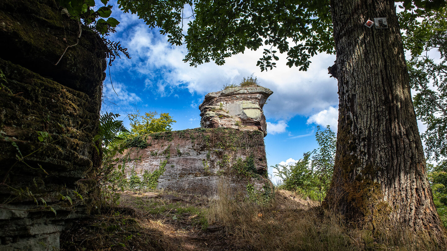 Burggraben und Anebosfels bei Annweiler am Trifels