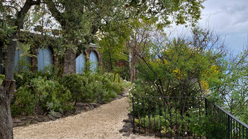 Besichtigung des Botanischen Garten - Insel San Pancrazio