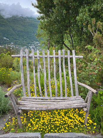 Holzstuhl im Beet - Botanischer Garten
