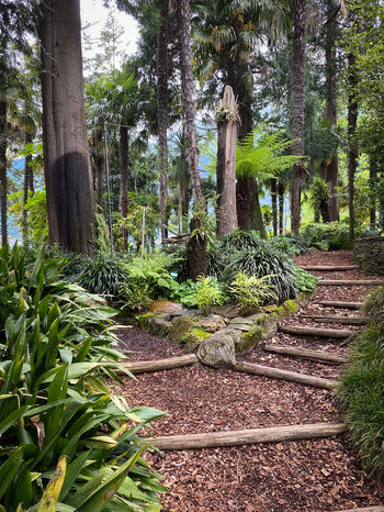 Wege führen durch die Palmen im Botanischen Garten - Insel Isola Grande