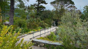 im Botanischen Garten auf der Isola Grande