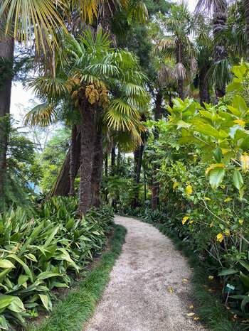 exotische Pflanzen im Botanischen Garten