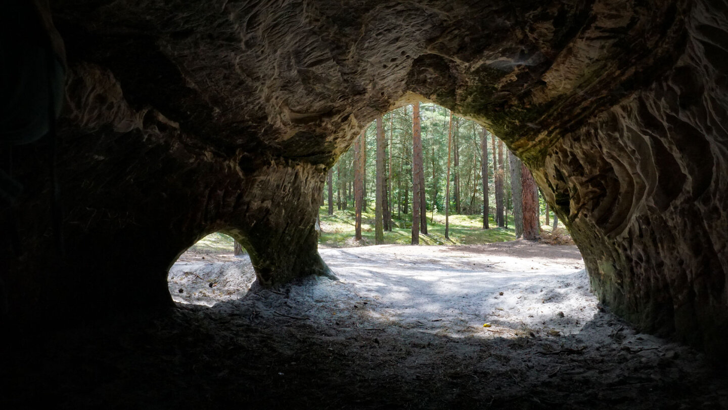 Blick aus einer der kleinen Sandsteinhöhlen im Heers-Wald