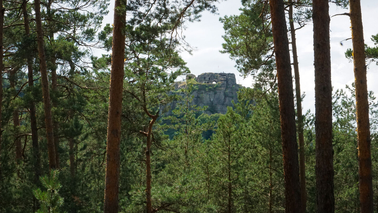 Burgruine Regenstein vom Aussichtspunkt Regensteinblick