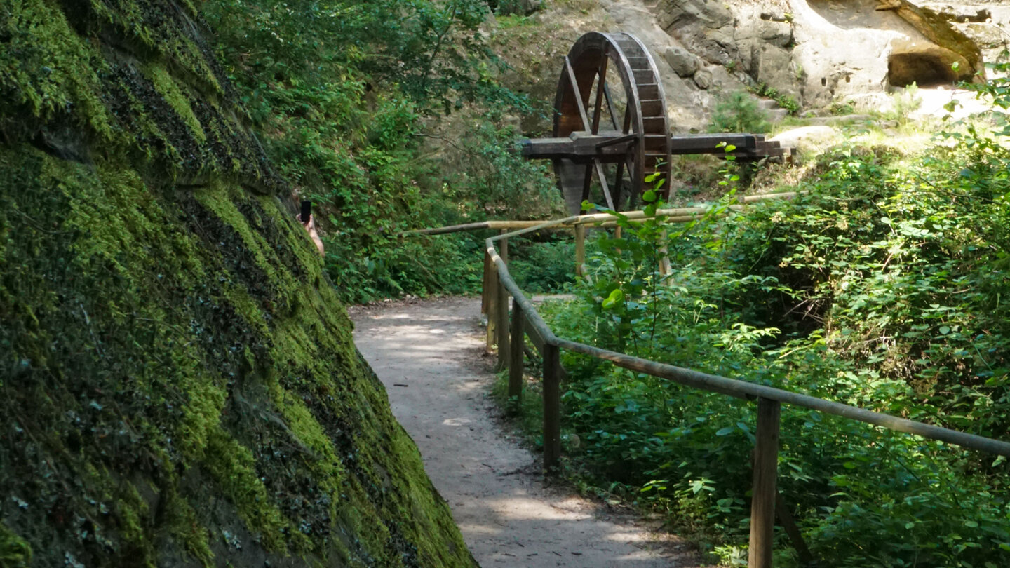 Wanderweg zur Regensteinmühle im Heers