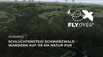 Schluchtensteig im Schwarzwald – Flyover